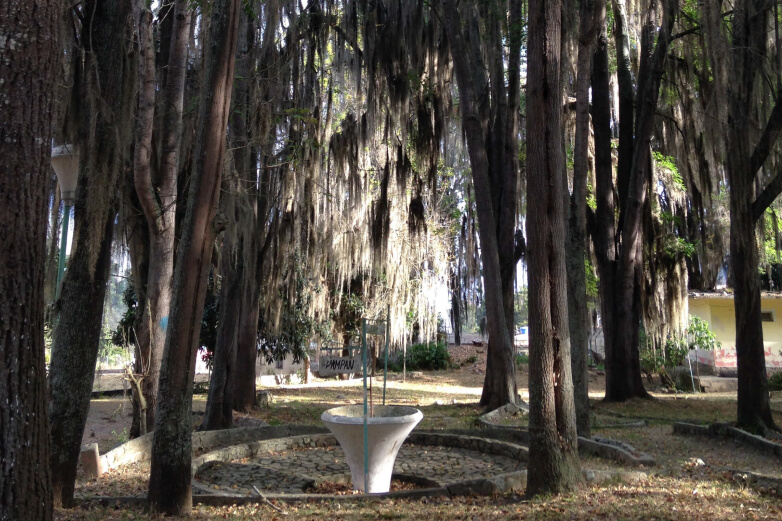 Vipassana, 10 días de transformación